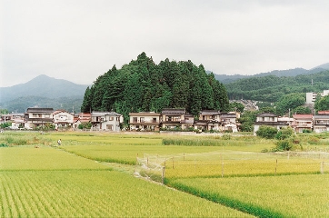 Campagne japonaise - Thibaut Cuisset