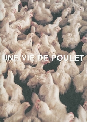 Une vie de poulet - Olivier Culmann