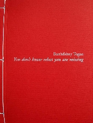 You don’t know what you’re missed - Barthélémy Toguo
