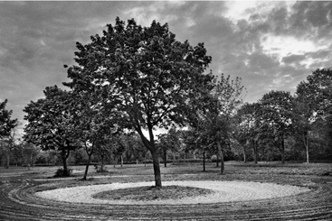 Terres foulées