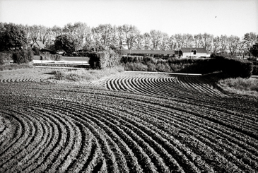 Terres foulées