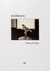 Incidences - Amaury da Cunha