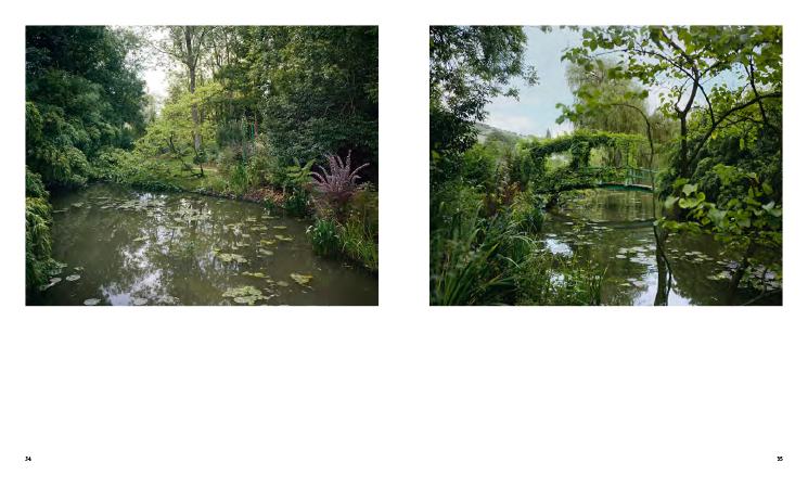 Photographier les jardins de Monet