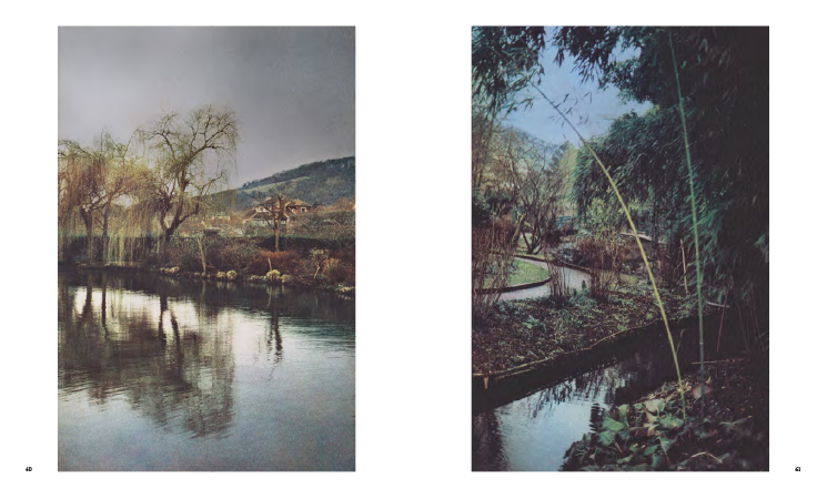 Photographier les jardins de Monet