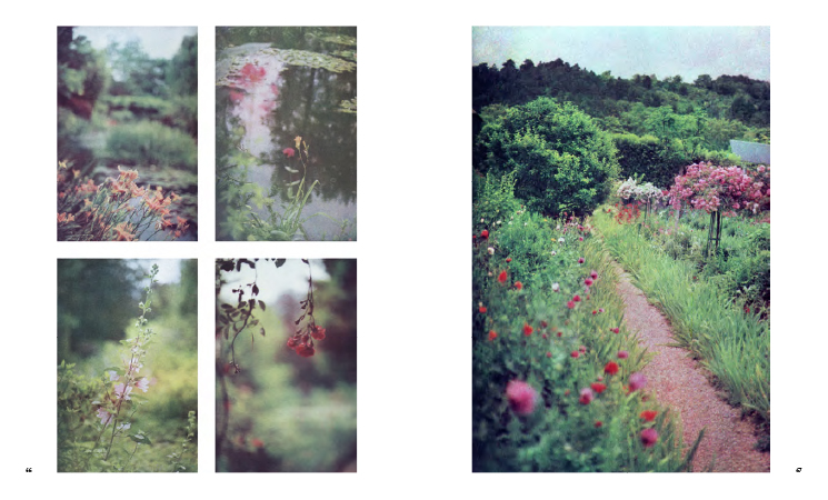 Photographier les jardins de Monet