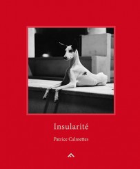 Insularité - Patrice Calmettes