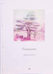 Evanescence - Jacques Borgetto