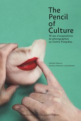 The Pencil of Culture - Clément Chéroux, Karolina Ziebinska-Lewandowska