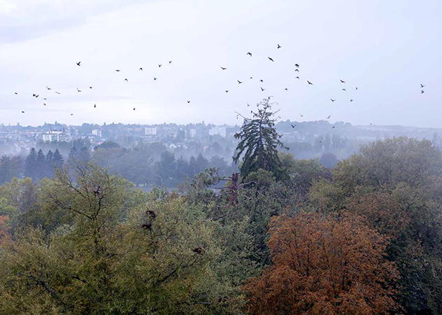 Dérive des baigneuses