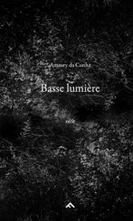 Basse lumière - Amaury da Cunha