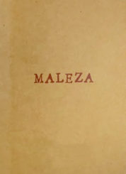 Maleza - Nía Diedla