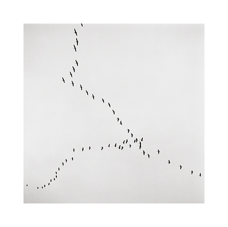 Natura