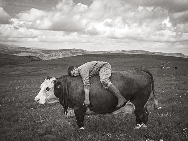 Heartland / Terre de cœur