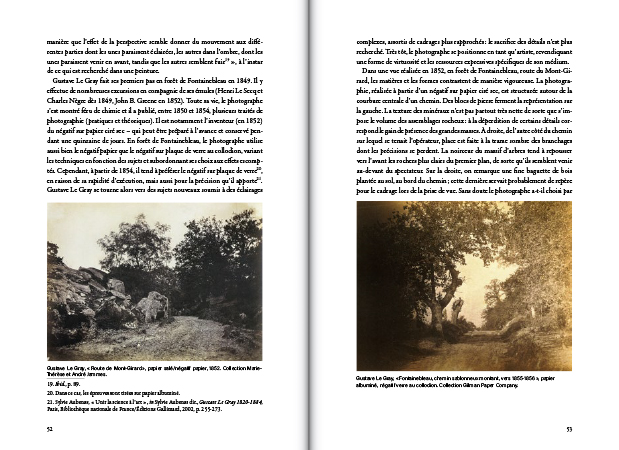 Quand la photographie pense la forêt