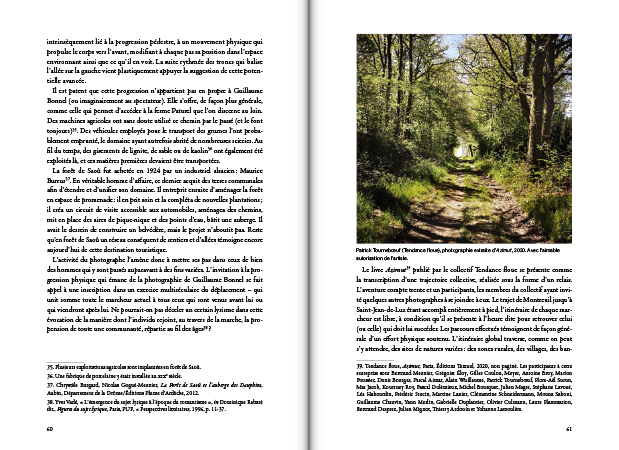 Quand la photographie pense la forêt