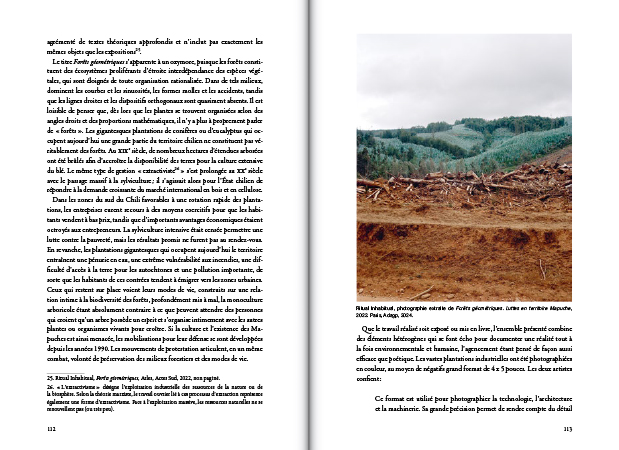 Quand la photographie pense la forêt