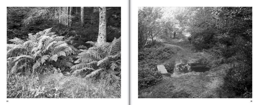 Sur les traces du Furan