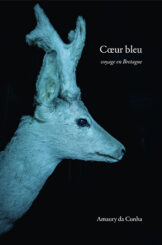 Cœur bleu - Amaury da Cunha