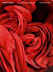 Primat Sidera - Vincent Fournier