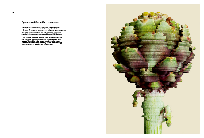 Primat Sidera Primat Sidera